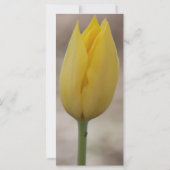 Gottes Vergebung und Grace-Gebetskarte (Rückseite)