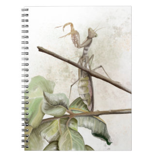 Gottesanbeterin Aquarell Notizblock