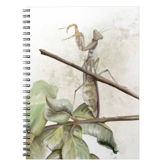 Gottesanbeterin Aquarell Notizblock (Vorderseite)