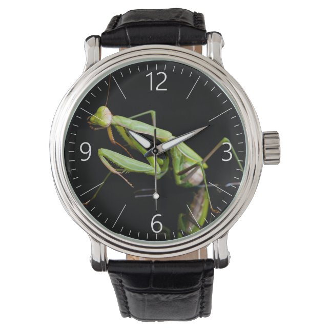 Gottesanbeterin Armbanduhr (Vorderseite)