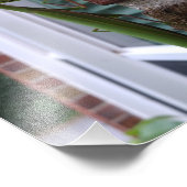 Gottesanbeterin auf Backsteinmauer Fotodruck (Ecke)