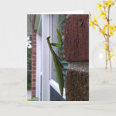 Gottesanbeterin auf Backsteinmauer Karte (Gelbe Blume)