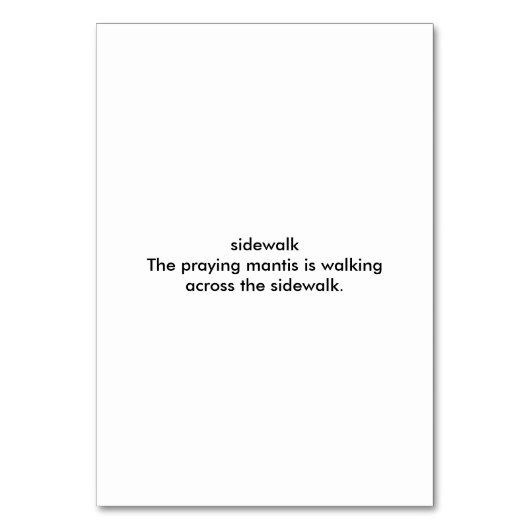 Gottesanbeterin auf dem Gehweg, Taschenkarten Tischnummer (Rückseite)