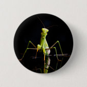 Gottesanbeterin Button (Vorderseite)