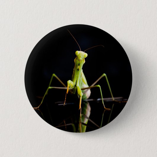 Gottesanbeterin Button (Vorderseite)