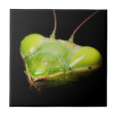 Gottesanbeterin Fliese (Vorderseite)