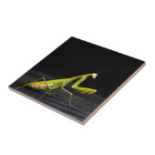 Gottesanbeterin Fliese (Seite)