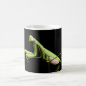 Gottesanbeterin Kaffeetasse (Mittel)
