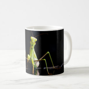 Gottesanbeterin Kaffeetasse