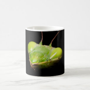Gottesanbeterin Kaffeetasse