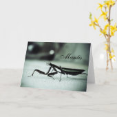 Gottesanbeterin Karte (Gelbe Blume)