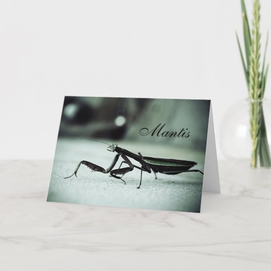 Gottesanbeterin Karte (Vorderseite)