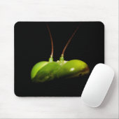 Gottesanbeterin Mousepad (Mit Mouse)