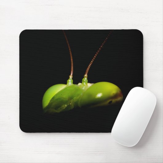 Gottesanbeterin Mousepad (Mit Mouse)