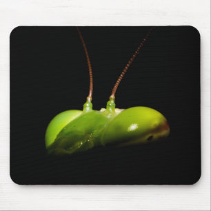 Gottesanbeterin Mousepad