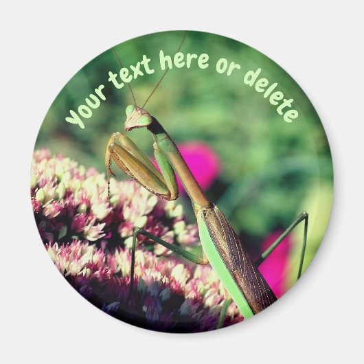 Gottesanbeterin Natur Personalisiert Magnet (Vorne)