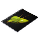 Gottesanbeterin Notizblock (Linke Seite)