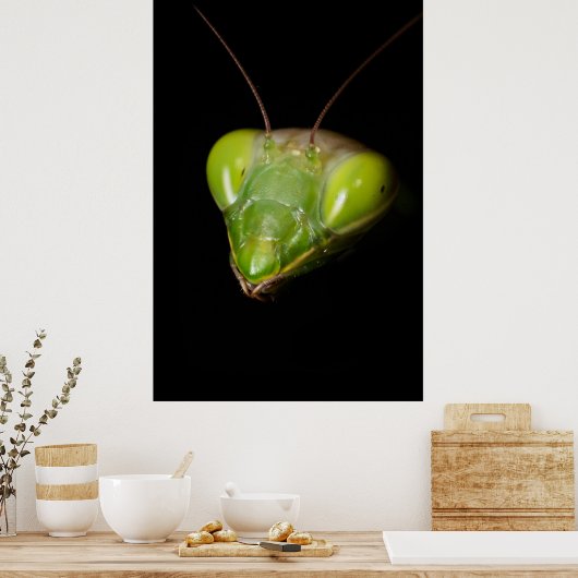 Gottesanbeterin Poster (Küche)