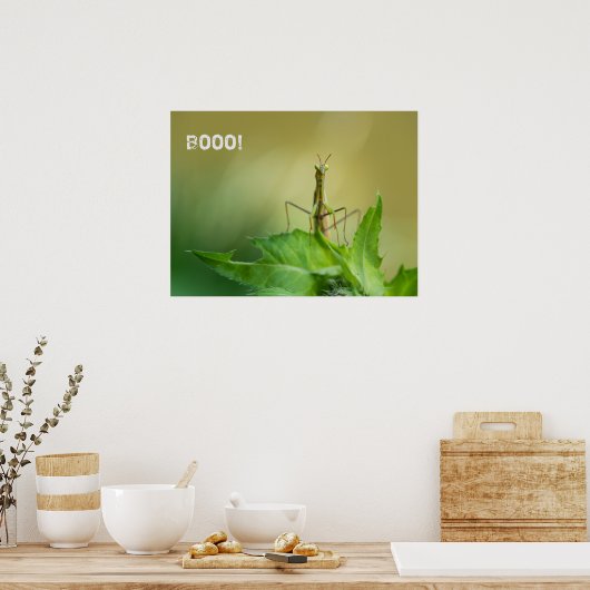 Gottesanbeterin Poster (Küche)