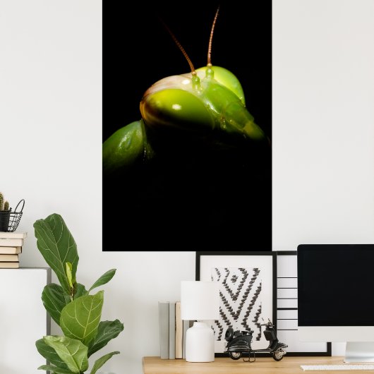 Gottesanbeterin Poster (Heimbüro)