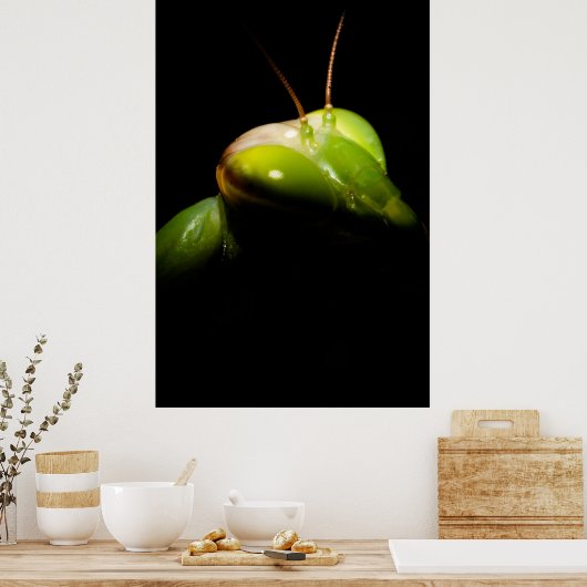 Gottesanbeterin Poster (Küche)