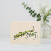 Gottesanbeterin Postkarte (Stehend Vorderseite)