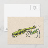 Gottesanbeterin Postkarte (Vorne/Hinten)