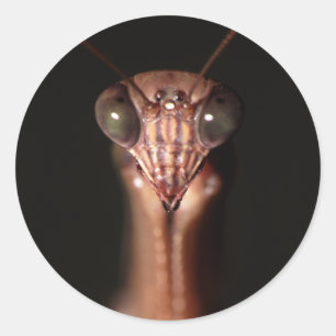 Gottesanbeterin Runder Aufkleber