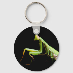 Gottesanbeterin Schlüsselanhänger