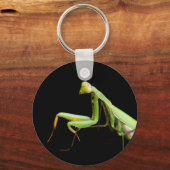 Gottesanbeterin Schlüsselanhänger (Vorderseite)