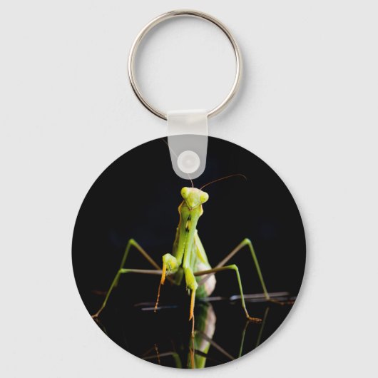 Gottesanbeterin Schlüsselanhänger (Vorderseite)