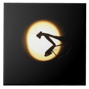 Gottesanbeterin-Silhouette Fliese