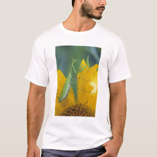 Gottesanbeterin T-Shirt