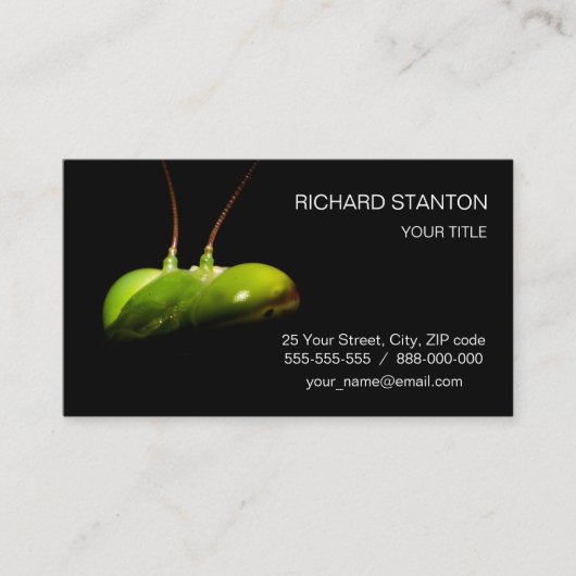 Gottesanbeterin Visitenkarte (Vorderseite)