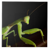 Gotteshaus Fliese (Vorderseite)