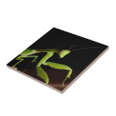 Gotteshaus Fliese (Seite)