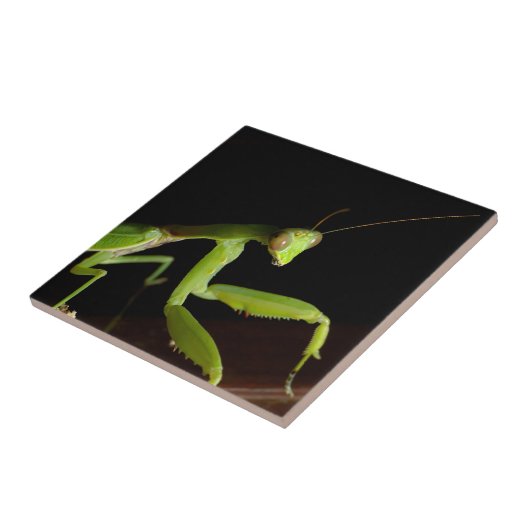 Gotteshaus Fliese (Seite)