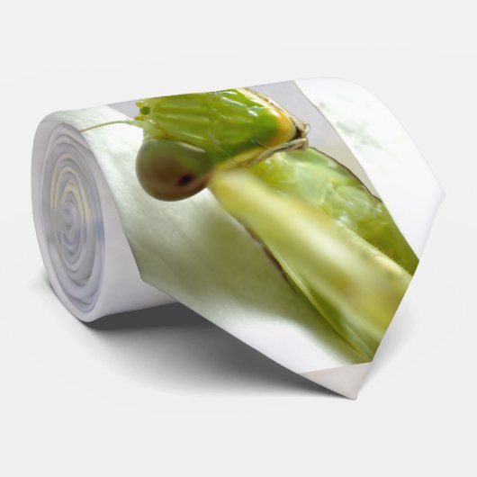 Gotteshaus Krawatte (Gerollt)