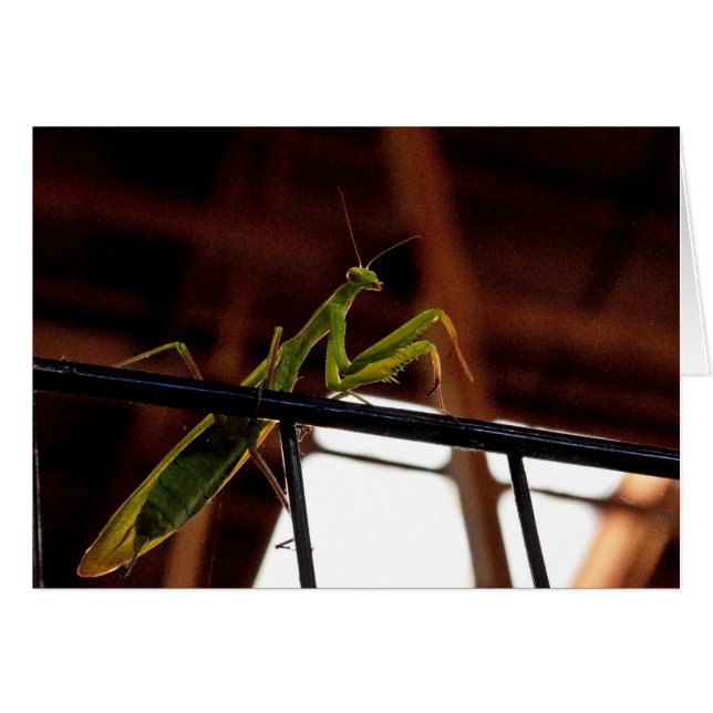 Gotteshäuser (Vorderseite (Horizontal))