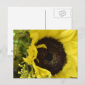 Göttliche Postkarte (Vorne/Hinten)