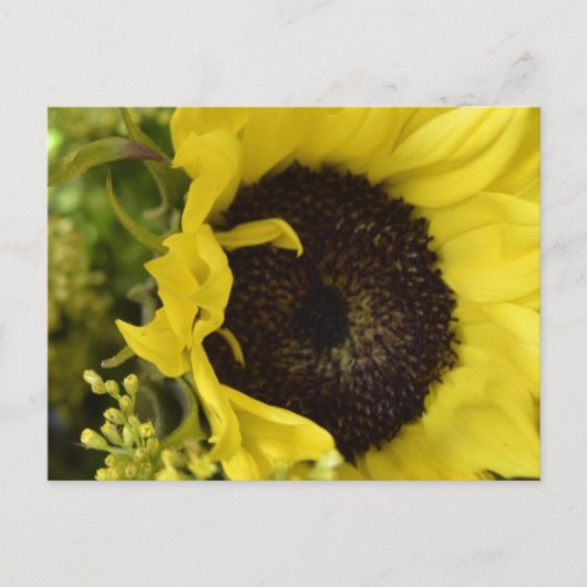 Göttliche Postkarte (Vorderseite)