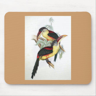 Gould - Aracari Toucan Mausunterlage Locke-Mit Mousepad