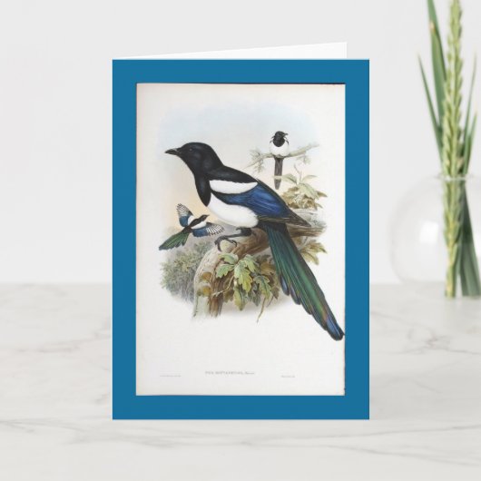 Gould - Bootan Elster Karte (Vorderseite)