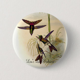 Gould - Columbian Thornbill Hummingbird Promo Hint Button