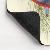 Gould - der Parakeet des Wimpels Mousepad (Ecke)