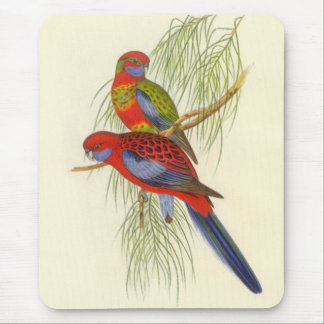 Gould - der Parakeet des Wimpels Mousepad
