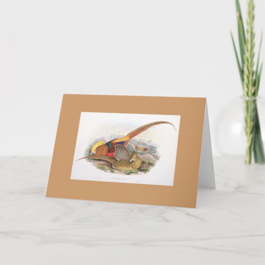 Gould - goldener Fasan-Karte Karte (Vorderseite)