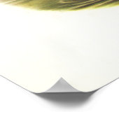 Gould - Goosander - Mergus merganser Poster (Ecke)