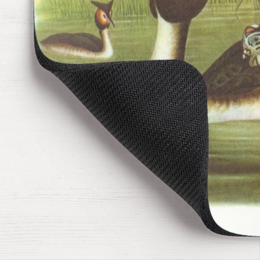 Gould - großer Grebe mit Haube - Podiceps Mousepad (Ecke)