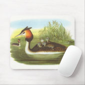 Gould - großer Grebe mit Haube - Podiceps Mousepad (Mit Mouse)